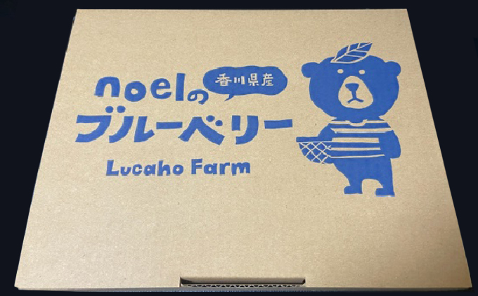 香川県東かがわ市のふるさと納税 Lucaho  Farm ブルーベリー（発送2025年6月～） 果物類 フルーツ