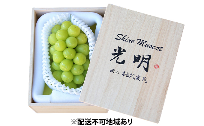 岡山県瀬戸内市のふるさと納税 ぶどう 早期受付 極上追熟 シャイン マスカット 1房 650g以上 「光明」桐箱入り ブドウ 葡萄  岡山県産 国産 フルーツ 果物 ギフト 桃茂実苑 果物類