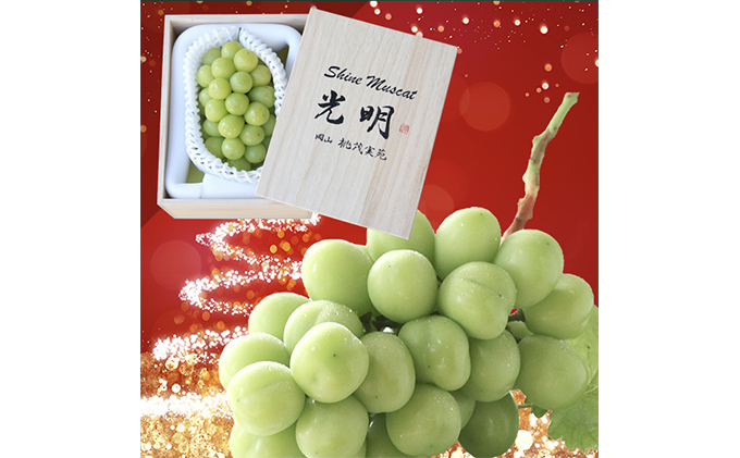 岡山県瀬戸内市のふるさと納税 ぶどう 早期受付 極上追熟 シャイン マスカット 1房 650g以上 「光明」桐箱入り ブドウ 葡萄  岡山県産 国産 フルーツ 果物 ギフト 桃茂実苑 果物類