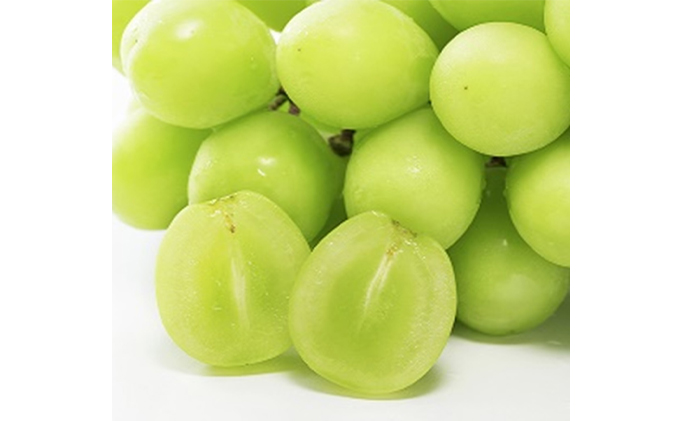 岡山県瀬戸内市のふるさと納税 ぶどう 早期受付 極上追熟 シャイン マスカット 1房 650g以上 「光明」桐箱入り ブドウ 葡萄  岡山県産 国産 フルーツ 果物 ギフト 桃茂実苑 果物類