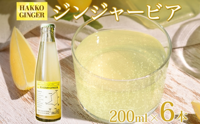 北海道倶知安町のふるさと納税 北海道 自家製 ジンジャービア 200ml×6本 HAKKO GINGER 発酵 ジンジャー ビール 生姜 レモン 辛口 ノンアルコール 炭酸 ヘルシー 野菜飲料 野菜ジュース 飲料類 炭酸飲料