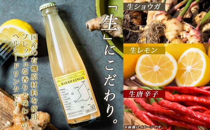 北海道倶知安町のふるさと納税 北海道 自家製 ジンジャービア 200ml×6本 HAKKO GINGER 発酵 ジンジャー ビール 生姜 レモン 辛口 ノンアルコール 炭酸 ヘルシー 野菜飲料 野菜ジュース 飲料類 炭酸飲料