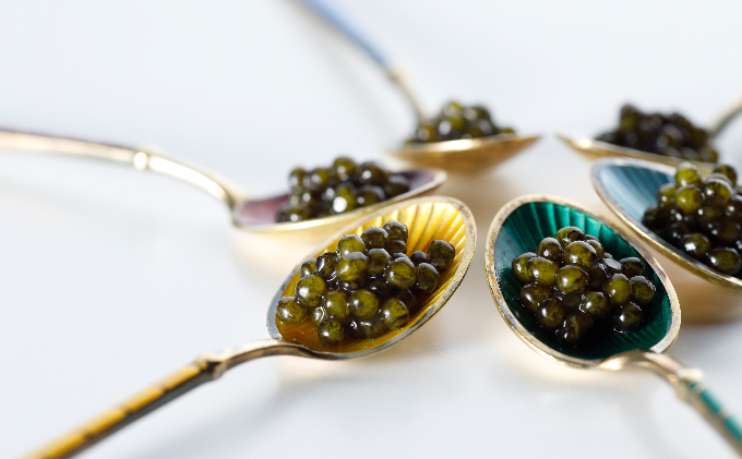 香川県東かがわ市のふるさと納税 瀬戸内キャビア 15g・25g 各1個 魚貝類 加工品