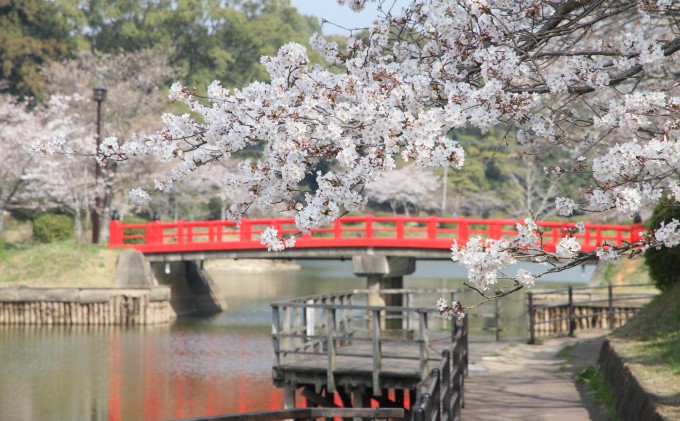 福岡県朝倉市のふるさと納税 福岡県朝倉市　日本旅行　地域限定旅行クーポン30,000円分 チケット