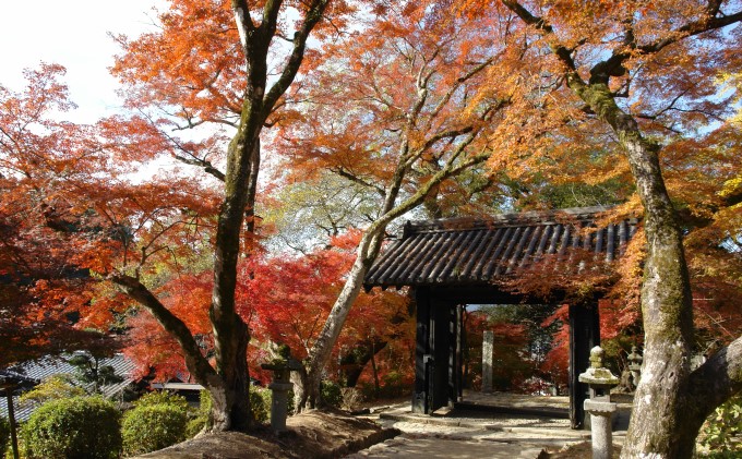 福岡県朝倉市のふるさと納税 福岡県朝倉市　日本旅行　地域限定旅行クーポン30,000円分 チケット