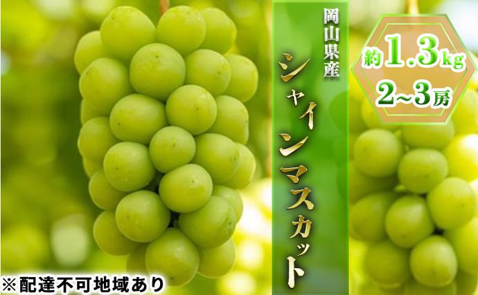 岡山県玉野市のふるさと納税 ぶどう 2026年 先行予約 シャイン マスカット 約1.3kg 2～3房 ブドウ 葡萄  岡山県産 国産 フルーツ 果物 ギフト