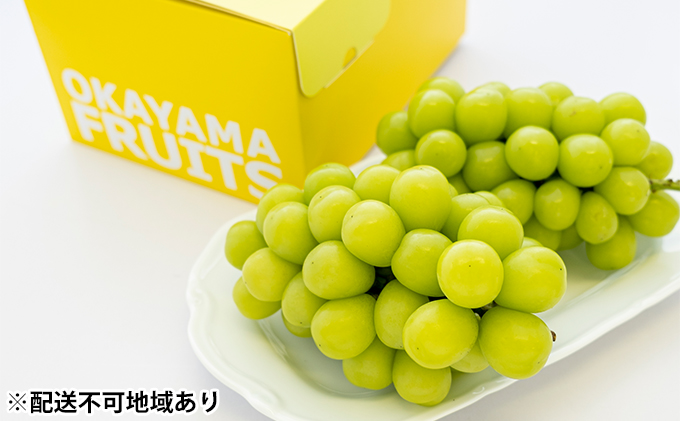 ぶどう 2026年 先行予約 ご家庭用 シ