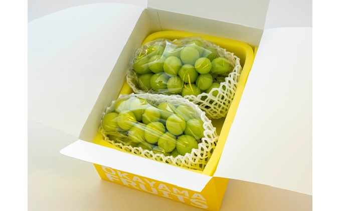 岡山県瀬戸内市のふるさと納税 ぶどう 2026年 先行予約 ご家庭用 シャイン マスカット 2～3房 合計約1.2kg ブドウ 葡萄  岡山県産 国産 フルーツ 果物 ギフト