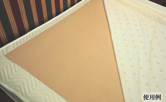 岡山県高梁市のふるさと納税 岩盤浴マット シングルサイズ 1枚（本体サイズ180cm×100cm） 寝具 日用品