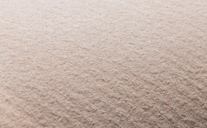 岡山県高梁市のふるさと納税 岩盤浴マット シングルサイズ 1枚（本体サイズ180cm×100cm） 寝具 日用品