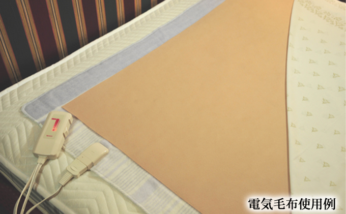 岡山県高梁市のふるさと納税 岩盤浴マット シングルサイズ 1枚（本体サイズ180cm×100cm） 寝具 日用品