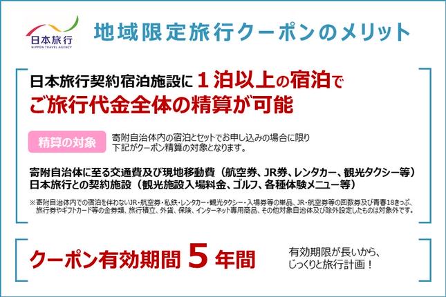 静岡県浜松市のふるさと納税 静岡県浜松市　日本旅行　地域限定旅行クーポン300,000円分 チケット