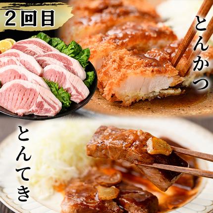 鹿児島県志布志市のふるさと納税 【定期便全3回】九州産 豚肉定期便(3ヵ月連続・毎回2kg以上・計7.7kg以上)  t0040-013-03