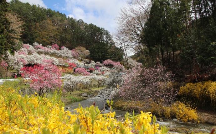 長野県駒ヶ根市のふるさと納税 長野県駒ヶ根市　日本旅行　地域限定旅行クーポン30,000円分 チケット