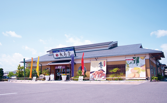 岡山県瀬戸内市のふるさと納税 和菓子 敷島堂 夢二といちご夢二 16個入 第26回全国菓子大博覧会名誉総裁賞受賞 スイーツ お菓子 饅頭 生菓子 白あん 洋風和菓子 お饅頭 おやつ お茶請け 個包装 瀬戸内銘菓 岡山銘菓 お取り寄せ 土産