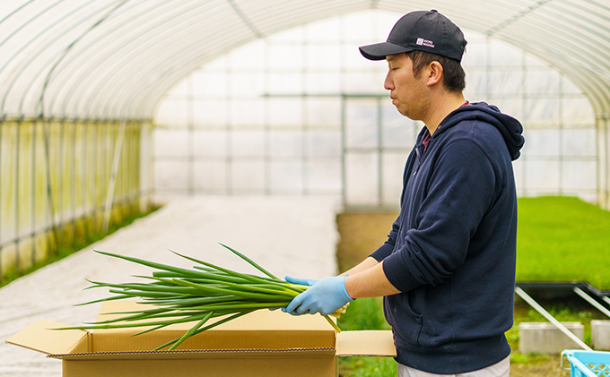 京都府宇治田原町のふるさと納税 生産農家直送 京野菜・九条ねぎ1kg〈ねぎ ネギ 葱 九条ねぎ 京野菜 京都 新鮮 甘い 農家直送 野菜〉