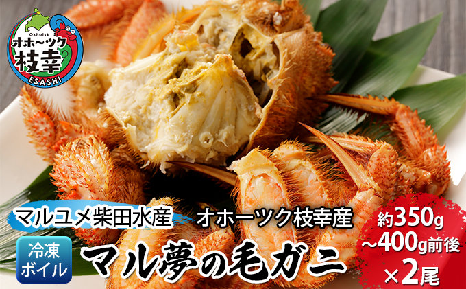 北海道枝幸町のふるさと納税 マル夢の毛ガニ約350g～400g前後×2尾【冷凍ボイル】【 枝幸産 毛カニ 蟹 かに カニ 北海道 オホーツク 枝幸 】