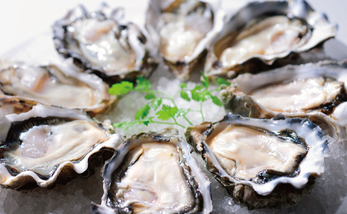 北海道厚岸町のふるさと納税 定期便 3ヶ月 北海道 厚岸産 牡蠣 3L 20個 と L 20個 ひと月あたり40個お届け (各回40個×3ヶ月分,合計120個) 殻付き 生食 かき カキ 生牡蠣 貝付き牡蠣 貝 海鮮 魚介類 マルえもん