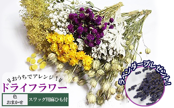 北海道南富良野町のふるさと納税 ＜おうちでアレンジ！＞ドライフラワー（色おまかせ）プレゼント付 北海道 南富良野町 ドライフラワー 花 お花 華 花束 ファッション小物 インテリア 贈り物