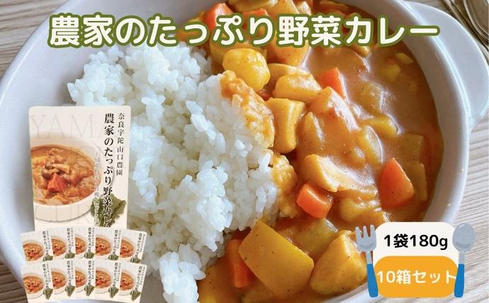 農家のたっぷり野菜カレー 10個／ふるさと