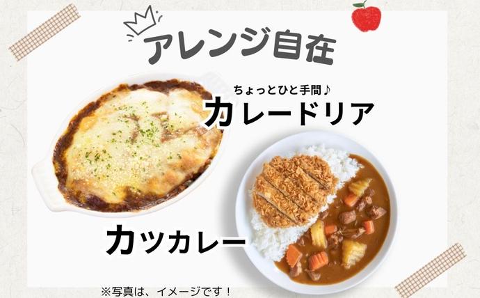 奈良県宇陀市のふるさと納税 農家のたっぷり野菜カレー 10個／ふるさと納税 レトルトカレー 詰め合わせ ギフト 10食 野菜 ふるさと 有機野菜 オーガニック 飯 簡単 時短 保存食 奈良県 宇陀市 山口農園