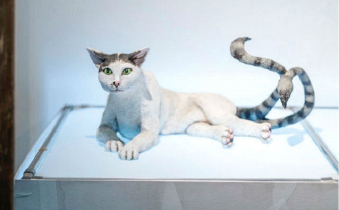 香川県土庄町のふるさと納税 【 小豆島 】妖怪美術館＋小野川直樹美術館 入館 チケット 体験 美術館 妖怪 アート アート作品 香川 香川県 土庄 土庄町