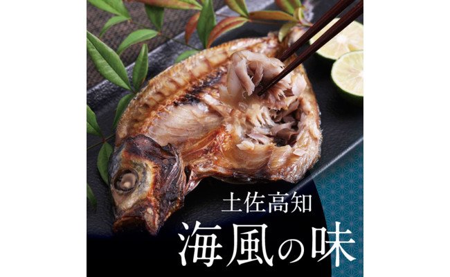 高知県芸西村のふるさと納税 SST002　高知の海の干物たち＜土佐の海風で干した抜群の干物を＞＜高知市・南国市共通返礼品＞