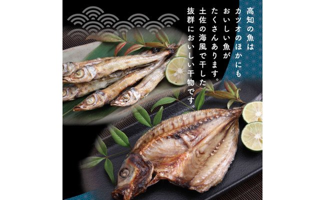 高知県芸西村のふるさと納税 SST002　高知の海の干物たち＜土佐の海風で干した抜群の干物を＞＜高知市・南国市共通返礼品＞