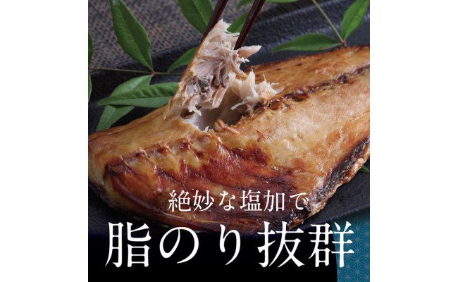 高知県芸西村のふるさと納税 SST002　高知の海の干物たち＜土佐の海風で干した抜群の干物を＞＜高知市・南国市共通返礼品＞