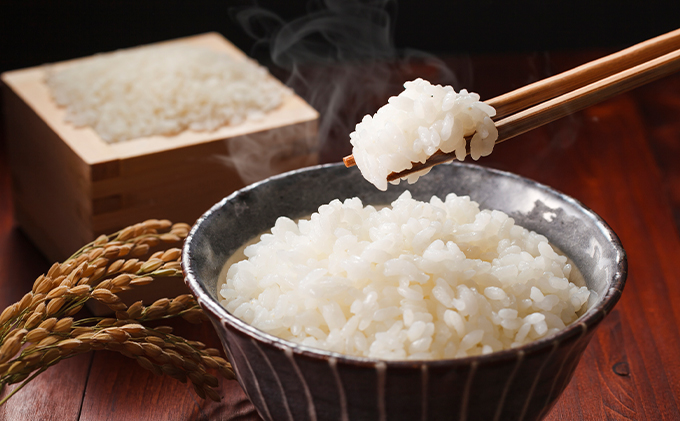 北海道月形町のふるさと納税 北海道産ゆめぴりか5kg＋北海道月形町産完熟トマト「桃太郎」使用『月形まんまるトマト』3本 米 お米 果汁飲料 野菜飲料 トマトジュース