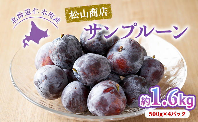北海道仁木町のふるさと納税 [先行受付] 北海道仁木町産 プルーン 1.6kg（品種：サンプルーン） 厳選品 果物詰合せ フルーツ 果物 くだもの[松山商店]