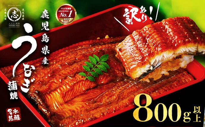 鹿児島県志布志市のふるさと納税 【訳あり・数量限定】復活！不揃いのうなぎ達 計800g以上(鹿児島県産 鰻の蒲焼き) b2-040