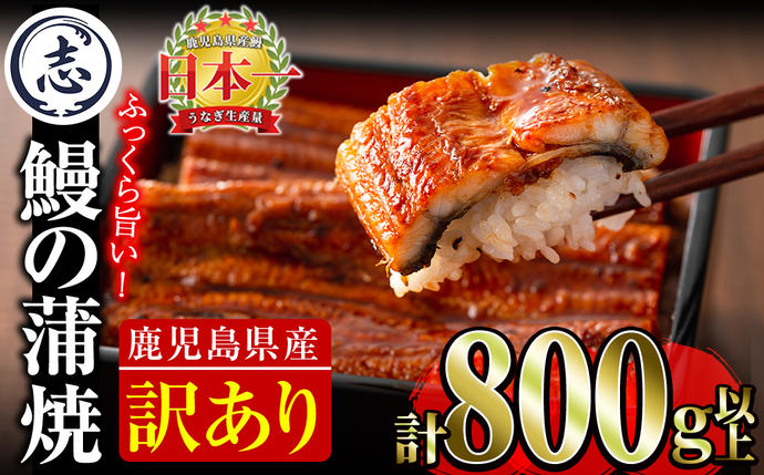 【訳あり・数量限定】復活！不揃いのうなぎ達