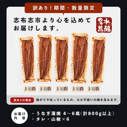 鹿児島県志布志市のふるさと納税 【訳あり・数量限定】復活！不揃いのうなぎ達 計800g以上(鹿児島県産 鰻の蒲焼き) b2-040