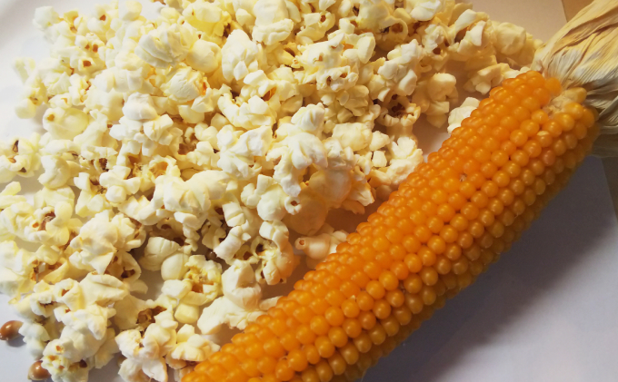 北海道上富良野町のふるさと納税 （自宅で楽しい！！食育にピッタリ）上富良野産手作りポップコーンセット 野菜 とうもろこし お菓子 スイーツ