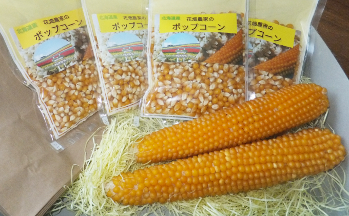 北海道上富良野町のふるさと納税 （自宅で楽しい！！食育にピッタリ）上富良野産手作りポップコーンセット 野菜 とうもろこし お菓子 スイーツ