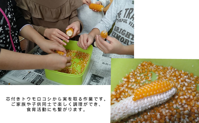 北海道上富良野町のふるさと納税 （自宅で楽しい！！食育にピッタリ）上富良野産手作りポップコーンセット 野菜 とうもろこし お菓子 スイーツ