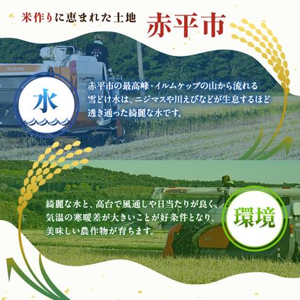 北海道赤平市のふるさと納税 北海道赤平産 ゆめぴりか 5kg 令和8年産 先行予約 先行受付 精米したて直送 米 白米 精米 北海道 赤平市