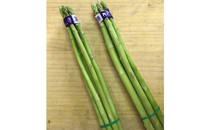 香川県東かがわ市のふるさと納税 令和8年産　はなまる農園の乳酸菌入りアスパラ「さぬきのめざめ」少し訳あり 1kg（M～L） 野菜セット 野菜 アスパラガス