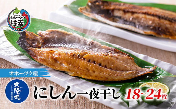 北海道枝幸町のふるさと納税 にしん一夜干し1.8kg（18～24枚）［300g（3～4枚入）×6P］【 魚貝類 干物 漬魚 味噌漬け 加工食品 北海道 オホーツク 枝幸 】