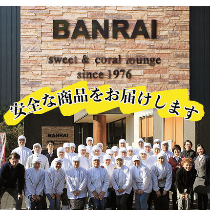 鹿児島県志布志市のふるさと納税 ＜入金確認後、2週間以内に発送！＞【本場鹿児島産】 黒豚角煮飯12個セット a5-289-2w