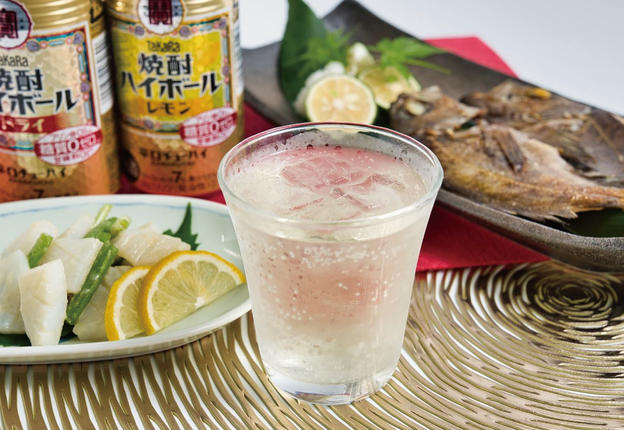 CD059 タカラ 焼酎ハイボール 梅干割り 500ml 24本 [ タカラ 宝 寶