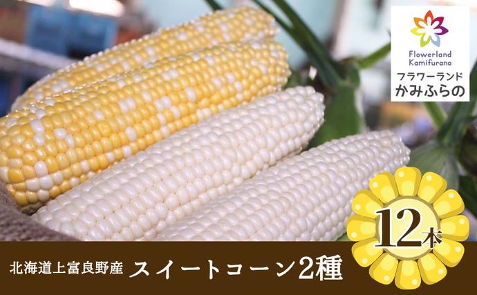 北海道上富良野町のふるさと納税 【令和8年産】北海道 上富良野 町産 スイートコーン 2種 セット 食べ比べ バイカラー 6本 白色 6本 計12本 野菜 とうもろこし トウモロコシ コーン 産地直送 野菜