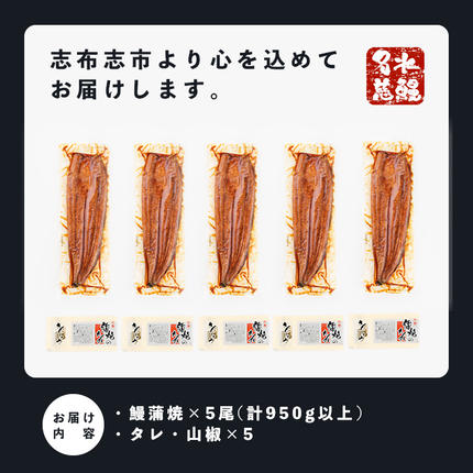 鹿児島県志布志市のふるさと納税 鹿児島県産うなぎ蒲焼 名水慈鰻 特上5尾(1尾190g以上)＜計950g以上＞ c15-001