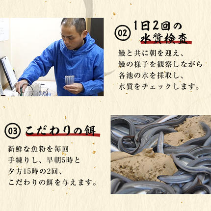 鹿児島県志布志市のふるさと納税 【志布志市人気No.1お礼の品】霧島湧水鰻の蒲焼き 140g以上×4尾＜計560g以上＞ a6-078