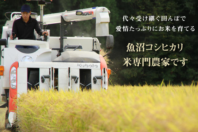 新潟県魚沼市のふるさと納税 令和7年産 農家直送！ 魚沼産 コシヒカリ 精米 5kg （ 米 こしひかり お米 こめ コメ 魚沼産コシヒカリ 魚沼 新潟 魚沼産こしひかり おこめ 白米 ） 新潟県