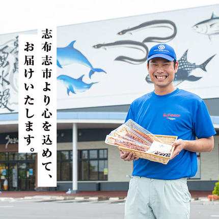 鹿児島県志布志市のふるさと納税 【志布志市人気No.1お礼の品】霧島湧水鰻の蒲焼き 140g以上×4尾＜計560g以上＞ a6-078