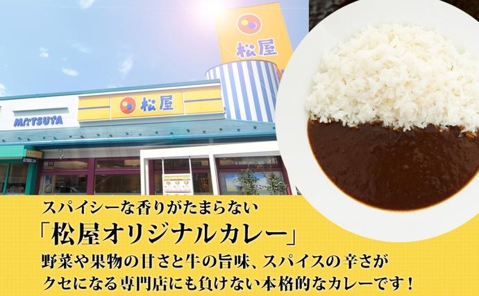 埼玉県嵐山町のふるさと納税 松屋 オリジナルカレーの具 180g 10袋 カレー レトルトカレー 辛口 スパイス カレギュウ レトルト 冷凍 時短 簡単 便利 手抜き レンチン おかず 保存食 備蓄 夜食 まとめ買い お取り寄せ グルメ 埼玉県 嵐山町