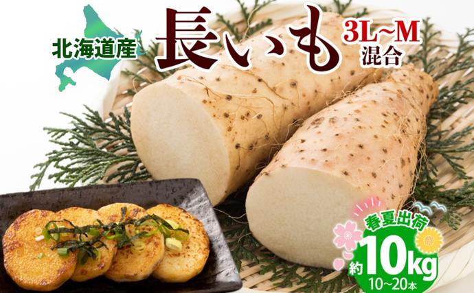 北海道洞爺湖町のふるさと納税 北海道産 長いも 春夏出荷 約10kg 2026年5月上旬～6月下旬頃お届け 長芋 ながいも とろろ 農作物 野菜 新鮮 根菜  山かけ 産地直送 お取り寄せ 送料無料 冷蔵 北海道 洞爺湖町