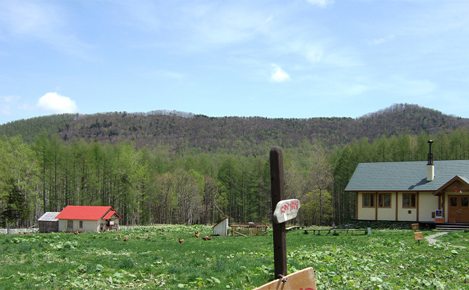 北海道南富良野町のふるさと納税 にわとり牧場のプリン　8個セット 北海道 南富良野町 プリン デザート ぷりん おやつ スイーツ お菓子